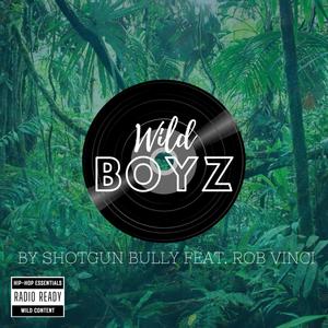 Wild Boyz (feat. ROB VINCI) [Radio Edit]