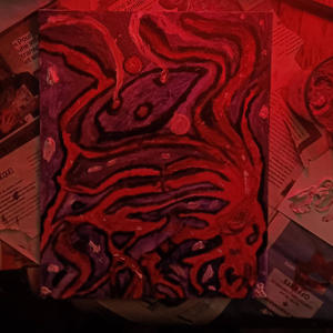 spaghettis Black Hole