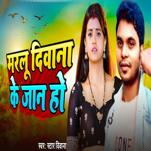 Marlu Diwana Ke Jan Ho