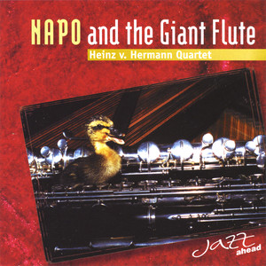 Napo and the Giant Flute