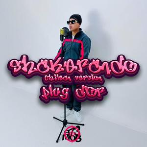 Shakerando (Chilean Version)