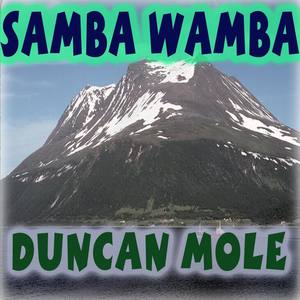 Samba Wamba