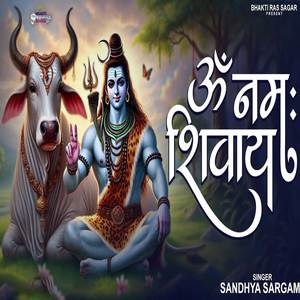 Om Namah Shivay