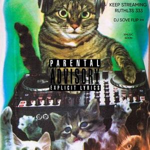 333 (dj sove flips) [Explicit]