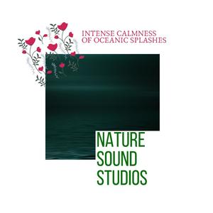 Nature Sound Studios - Intense Calmness of Oceanic Splashes