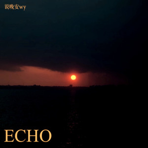 Echo Echo (Live)