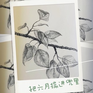 把六月揣进兜里 (Demo)