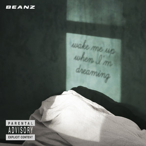 Wake Me Up When I’m Dreaming (Explicit)