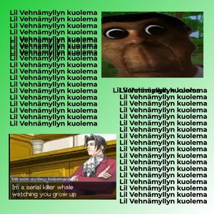 Vehnämylly Theme(feat. Lil Vehnämylly) (Explicit)