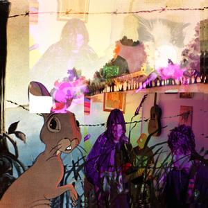 Cold* (feat. Knalerwten & Stroopwafels)