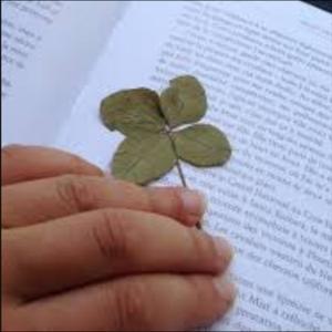 Trèfle fanner (Explicit)