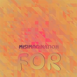 Misimagination For