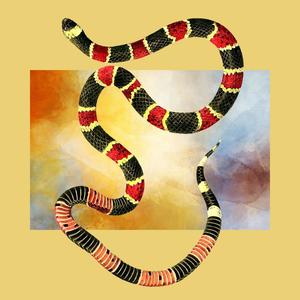 Snakes (Explicit)