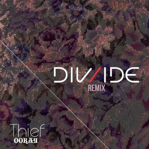 Thief (DIV/IDE Remix)