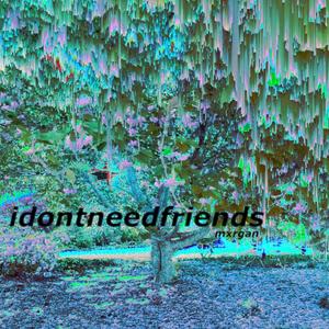 idontneedfriends (Explicit)