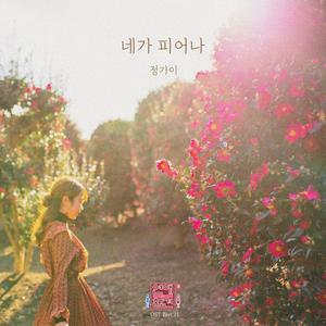네가 피어나