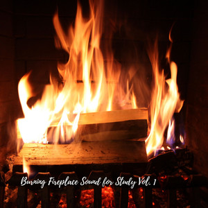 Burning Fireplace Sound for Study Vol. 1