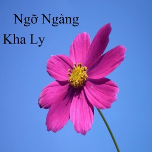 Ngỡ Ngàng