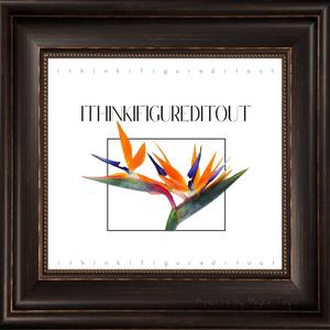 come through (Explicit)