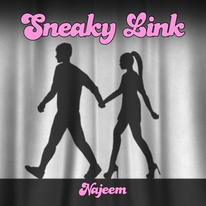 Sneaky Link (Explicit)