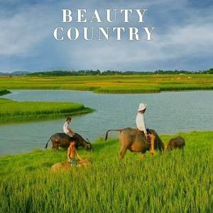 Beauty Country