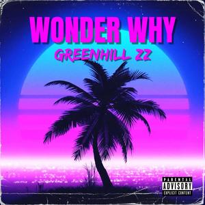 WONDER WHY (DIS RICH) [Explicit]