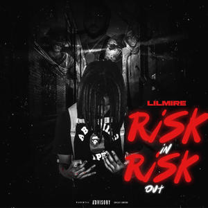 Risk In Risk Out (Explicit)