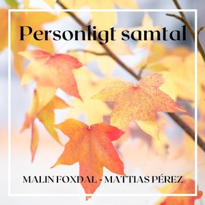 Personligt samtal (feat. Mattias Pérez)