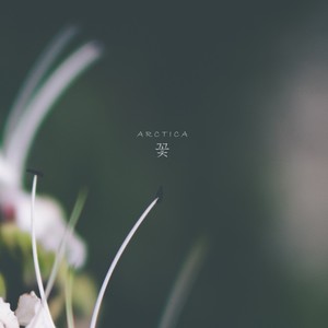 (Peace) (Original Mix)