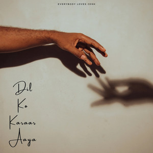 Dil Ko Karaar Aaya (COVER版)