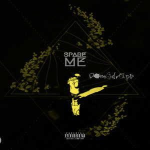 Section 20 (Explicit)