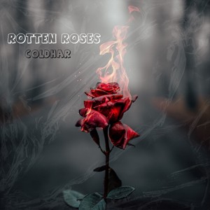 Rotten Roses (Explicit)