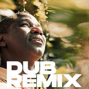 Nouvelle Sagesse (Dub Remix)