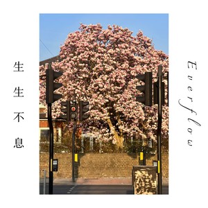 生生不息 Everflow