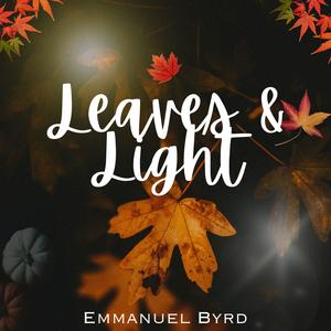 Leaves & Light