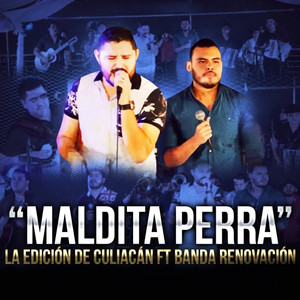 Maldita Perra (En Vivo)