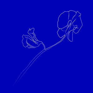 Substance M (Schwefelgelb Remix)