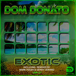 Exotic (Mark Feesh Remix)