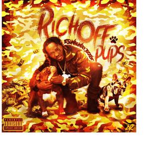 FELL INLOVE WITH MONEY (feat. PROJECT PACCINO) (Explicit)