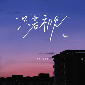 熬夜i - 只若初见 (释怀版)