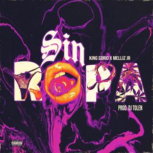 Sin Ropa (feat. Melliz JR & DJ Tolen) (Explicit)