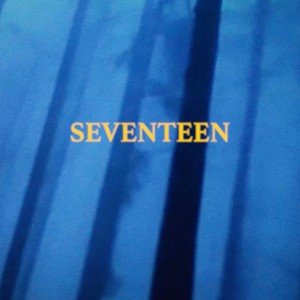 SEVENTEEN (Explicit)