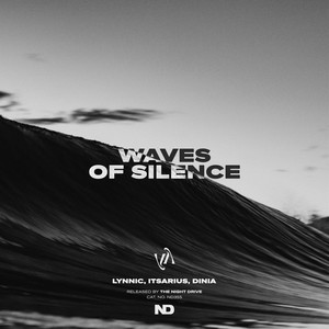 Waves Of Silence (Extended Mix)