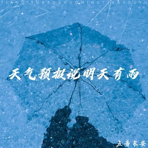 天气预报说明天有雨