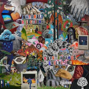 Natural Selection (Explicit)