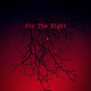 For The Night (Explicit)