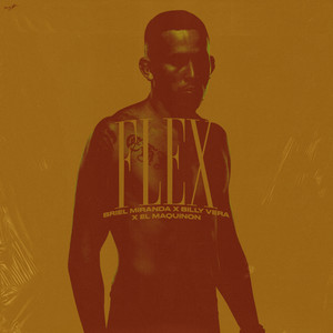 Flex (Explicit)