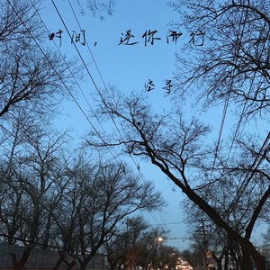 时间，逆你而行 (Demo)
