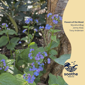 Flowers of the Woods