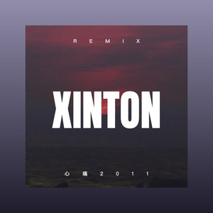 湛秋彤 - 心痛2011 (Remix)